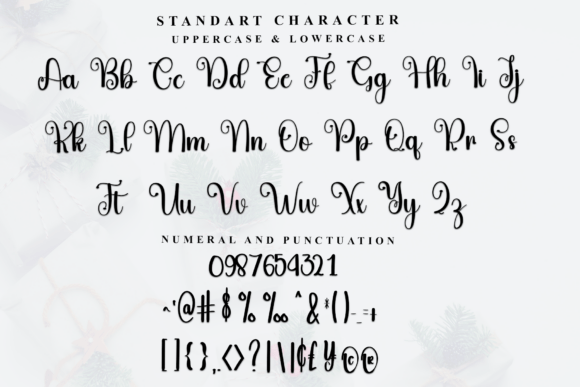 Beauty Snowing Font - Preview 4