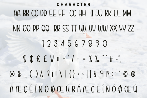 Bird Wings Font - Preview 4