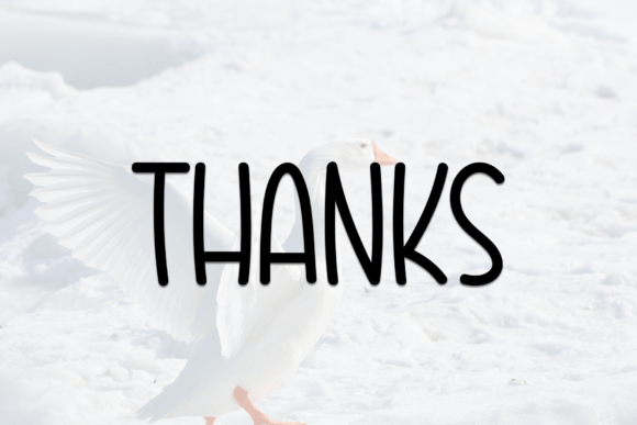 Bird Wings Font - Preview 5