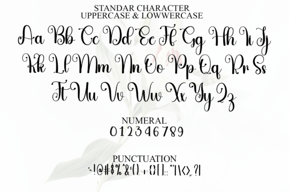 Goodnotes Font - Preview 2