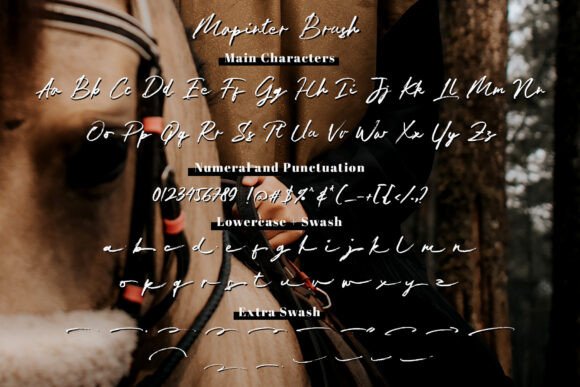 Jan Satipo Brush Font - Preview 6