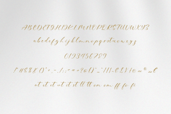 Blink Signature Font - Preview 4