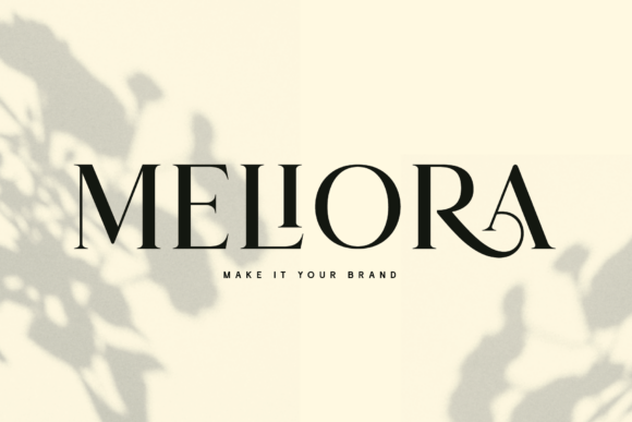 Carolina Font - Preview 5