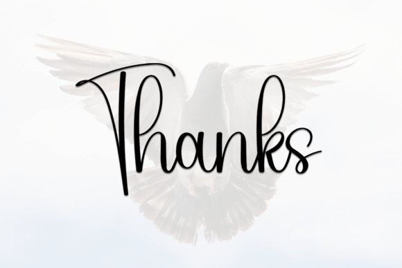 Eagle Font - Preview 5