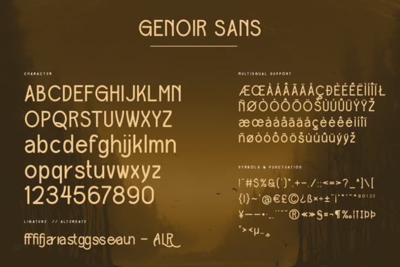 Genoir Font - Preview 2