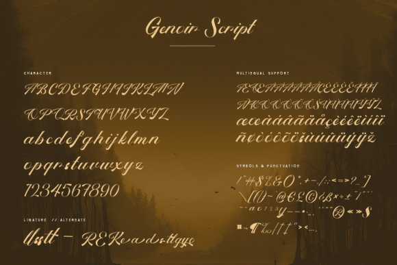 Genoir Font - Preview 3
