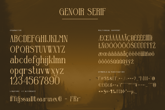 Genoir Font - Preview 4