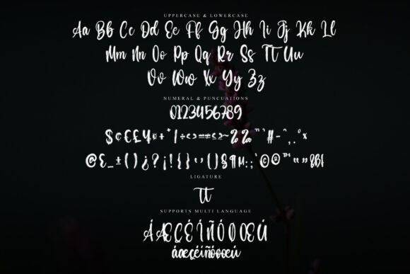 Santa Signature Font PNG with transparent background - Preview 5