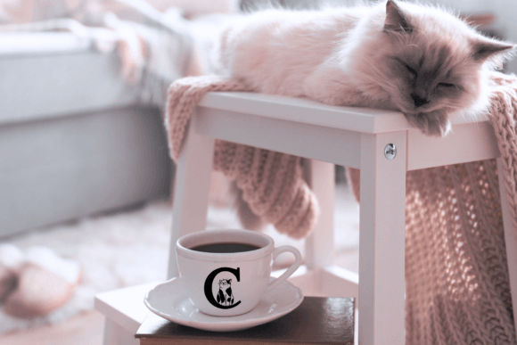 Cat Lover Font - Preview 3