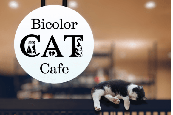 Cat Lover Font - Preview 4