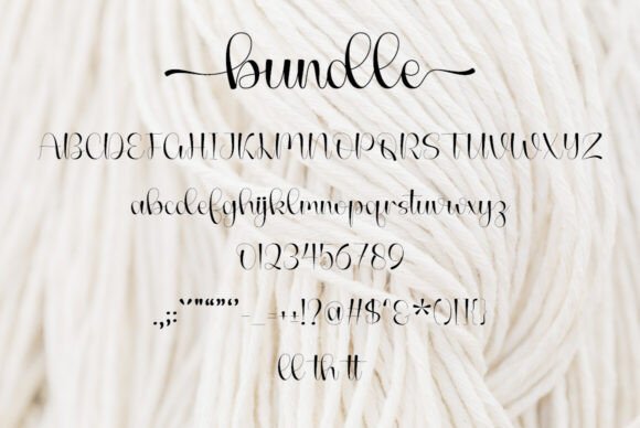 Bundle Font - Preview 5