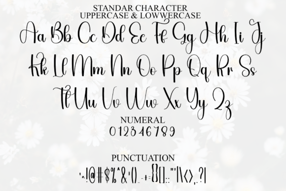 Flourish Font - Preview 2