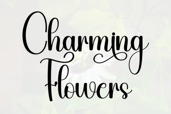 Flourish Font - Preview 6