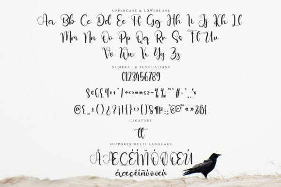 Brilliant Snowty Font - Preview 5