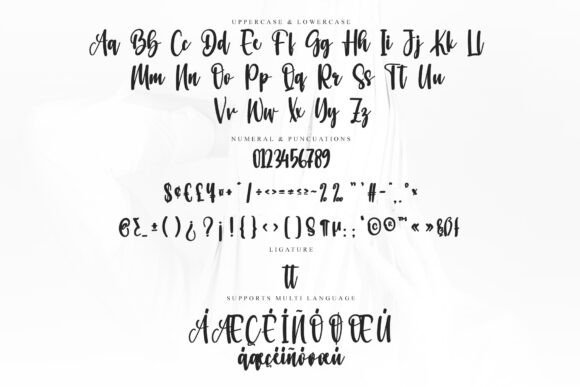 Shelter Gnomes Font PNG with transparent background - Preview 5