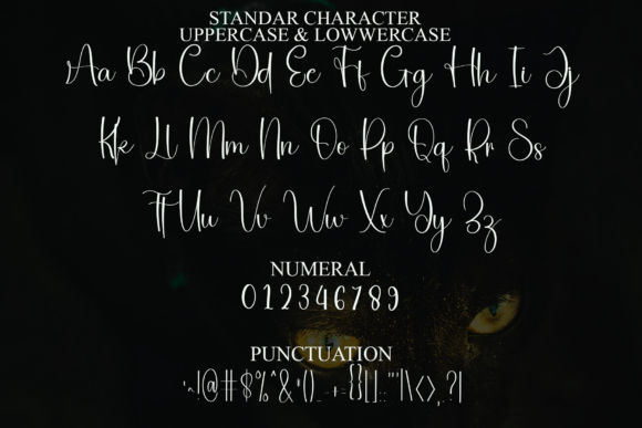 Adultish Font - Preview 2
