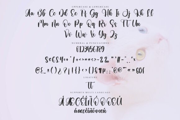 Another Valentine Font - Preview 5