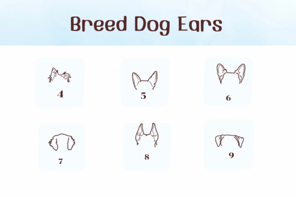 Breed Dog Ears Font - Preview 3