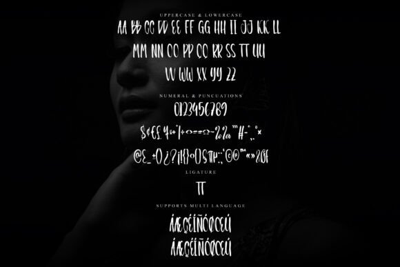 Bulwark Font - Preview 5