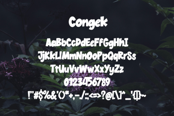 Congek Font - Preview 1