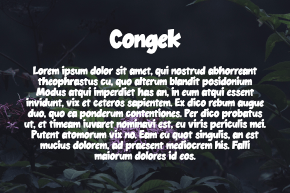 Congek Font - Preview 2