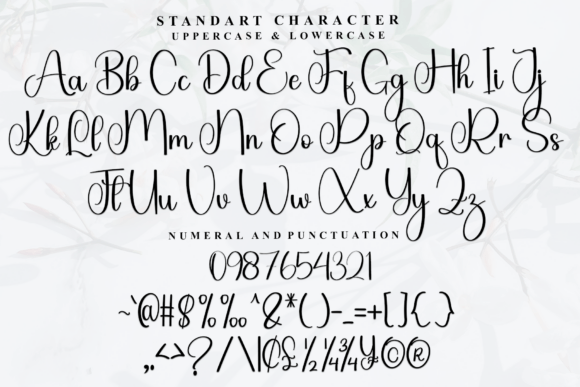 Family Font - Preview 4