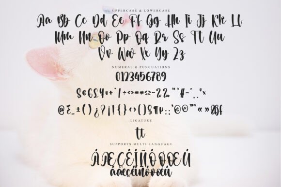 Hearty Valentine Font - Preview 5