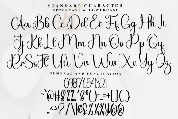 Amelia Font - Preview 4