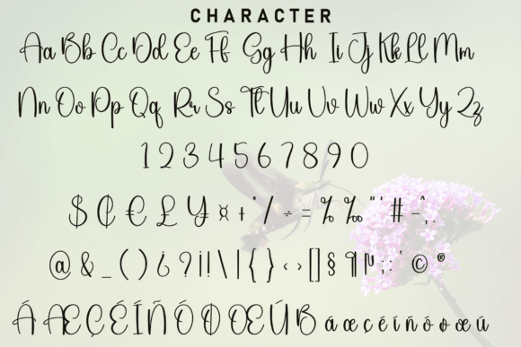 Really Font PNG with transparent background - Preview 4
