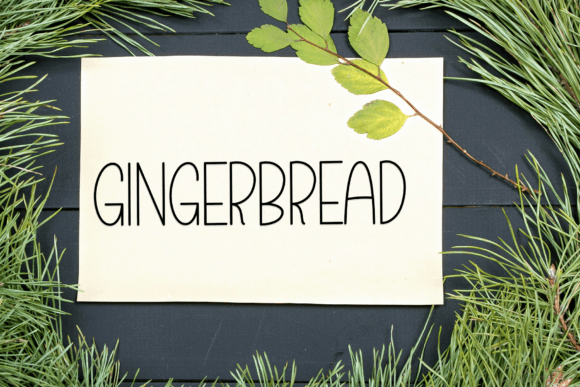 Birthday Reindeer Font - Preview 4