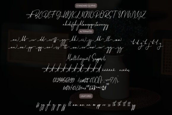 Alessandra Charm Font - Preview 1