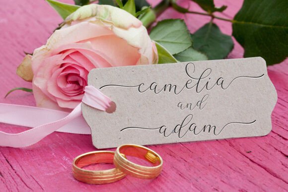 Camelia Font - Preview 3