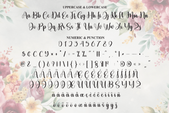 Angista Font - Preview 6