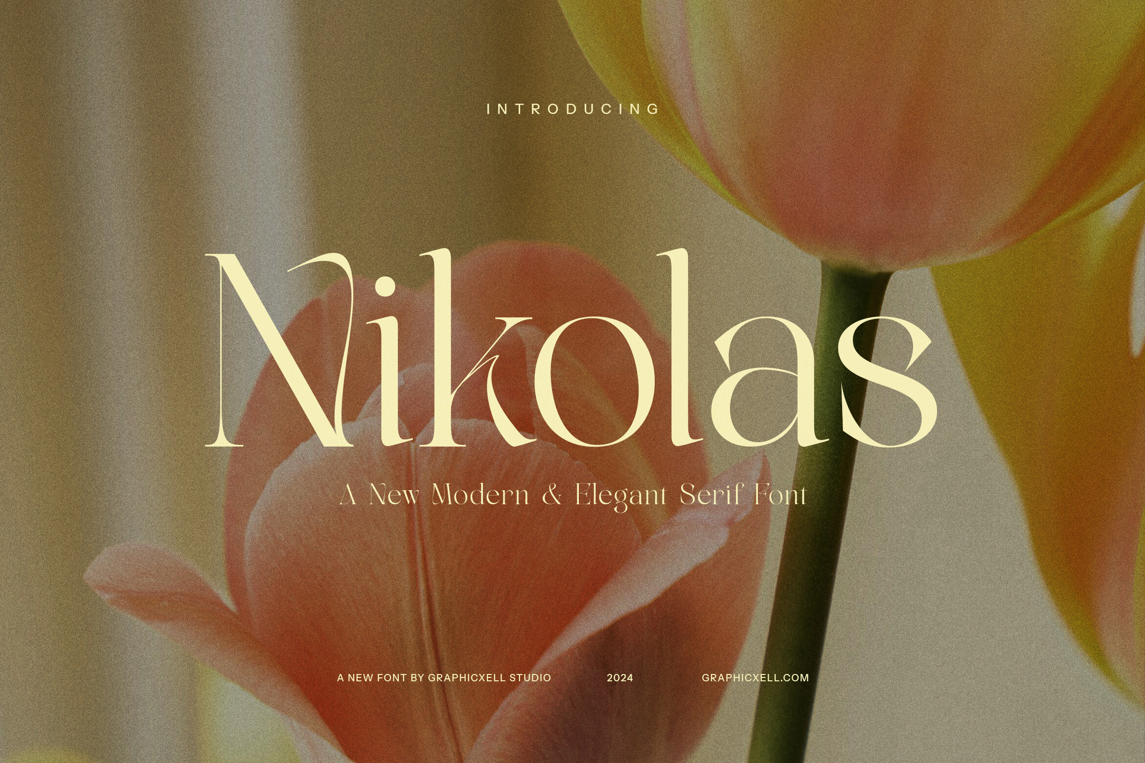 Sample of the Nikolas modern serif typeface