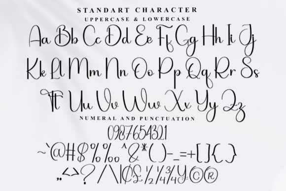 Beautiya Font - Preview 4