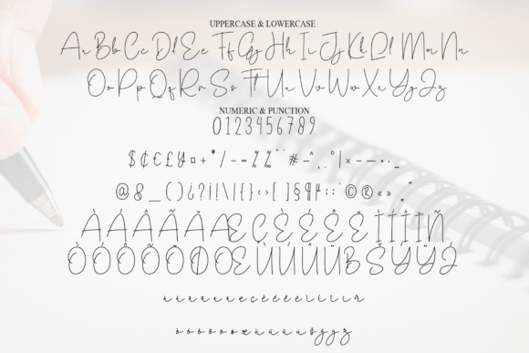 Autography Font - Preview 6