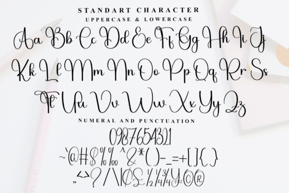 Biography Font - Preview 4