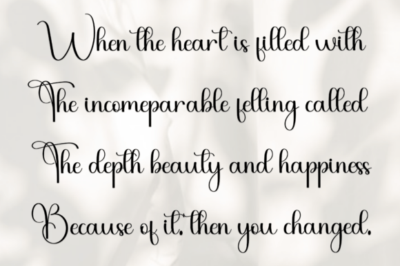 Biography Font - Preview 5