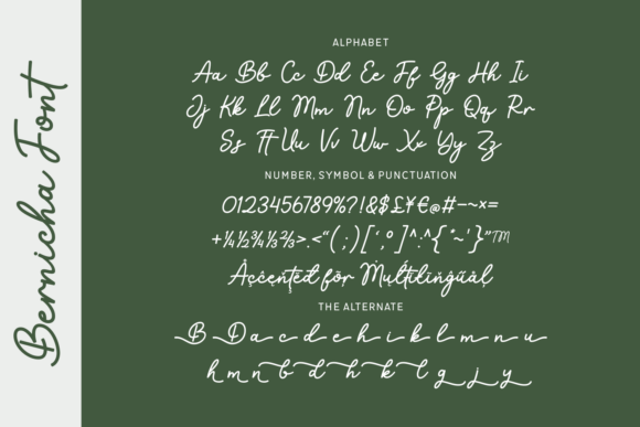 Bernicha Font - Preview 1