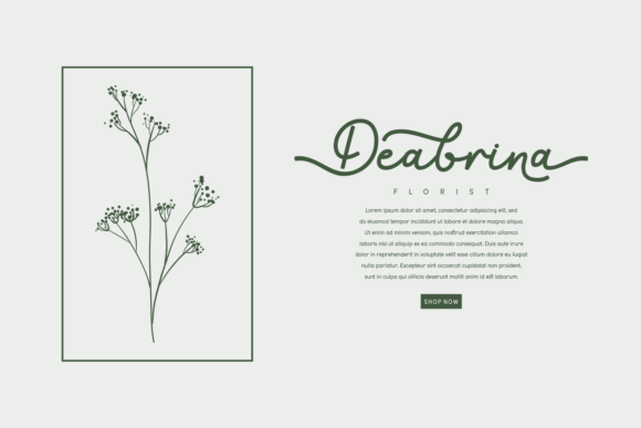 Bernicha Font - Preview 3