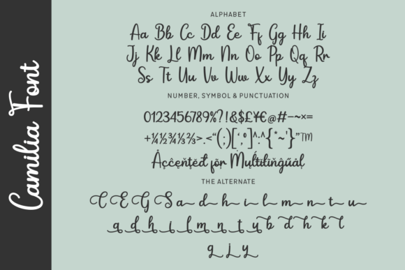 Camilia Font - Preview 2