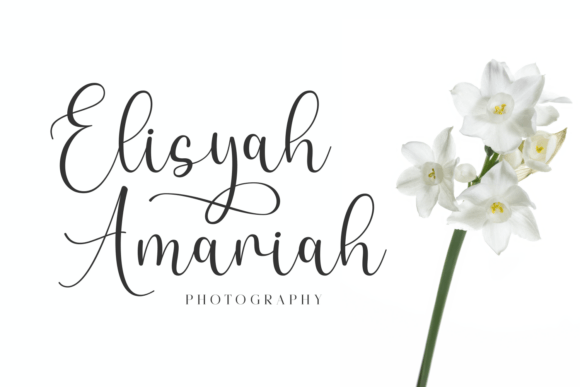 Caneliya Font - Preview 2