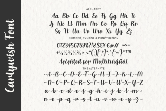 Carlywish Font - Preview 1