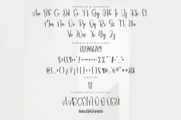 Chasing February Font - Preview 5