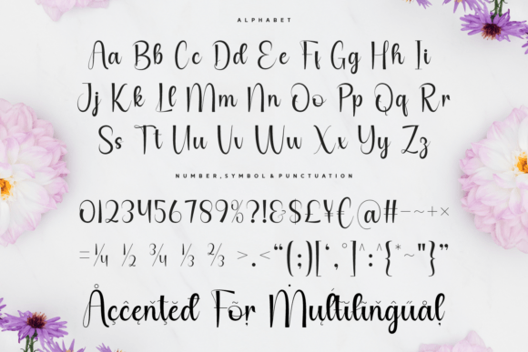 Claudry Font - Preview 4