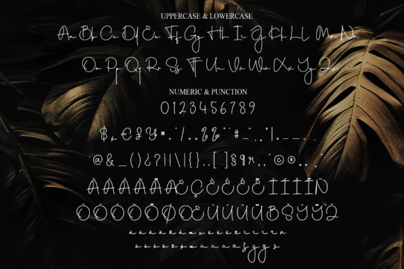 Luxury Goods Font font preview - 6