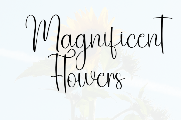 Majestic Value Font PNG with transparent background - Preview 6