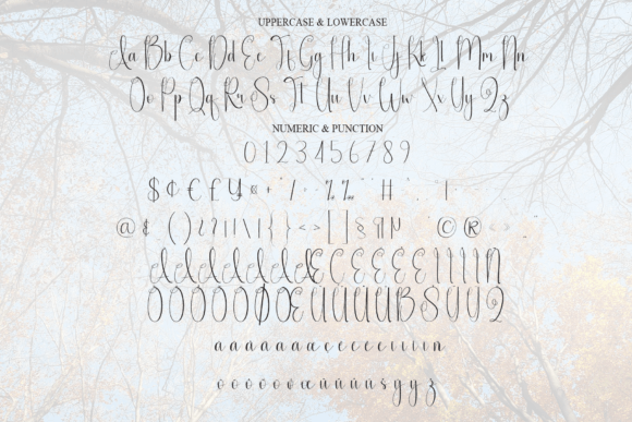 Autumn Font - Preview 6