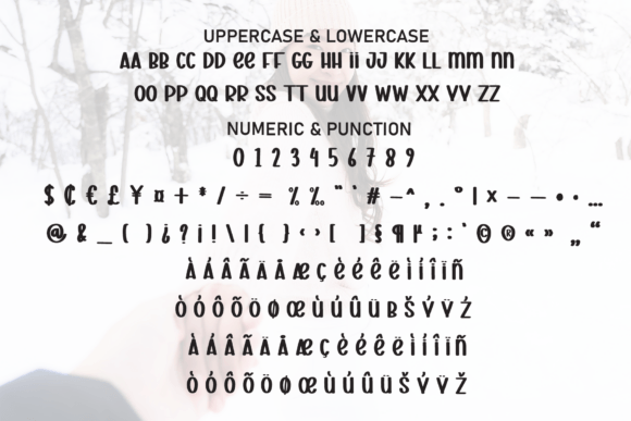 Darling Winter Font - Preview 6