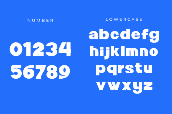 Bolled Font - Preview 5